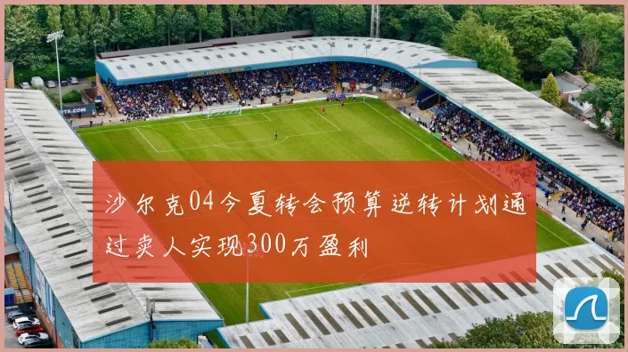 沙尔克04今夏转会预算逆转计划通过卖人实现300万盈利